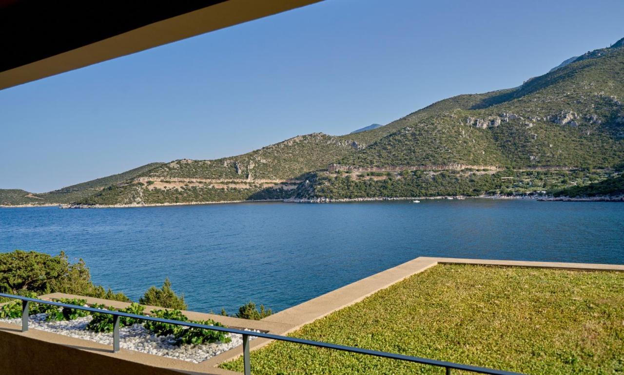 Apartment Into The Blue